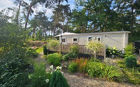 Luxe 4 Persoons Chalet Op 5 Sterren Camping